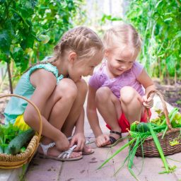 How to involve your kids in the food they eat - a family garden. - Newenham